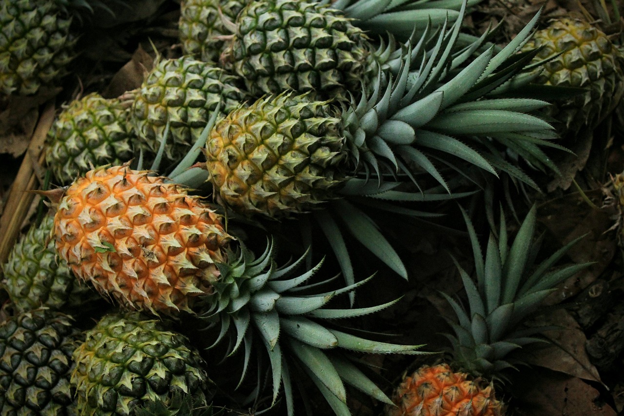 Pineapple leaves