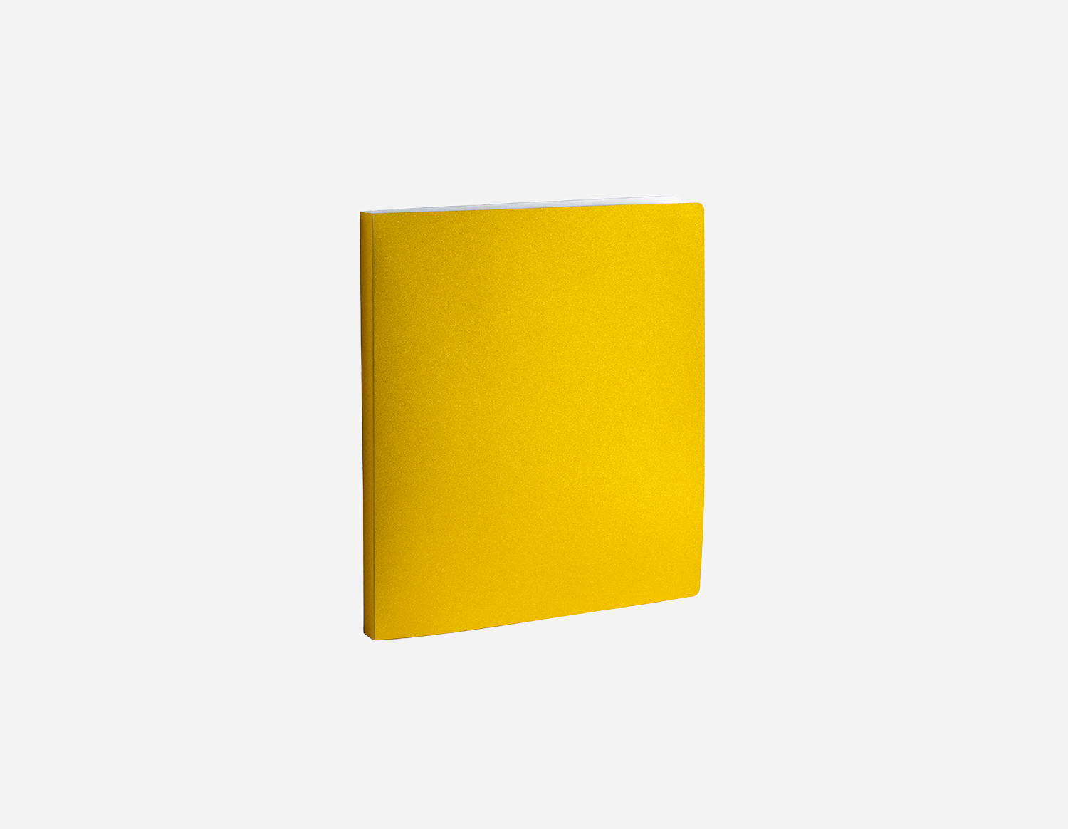 Glitter Metallic PP Display Book | MFO-8203