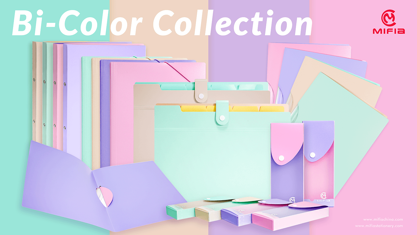 Bi-color Elastic Folder Plastic File---